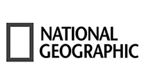 Logo 12